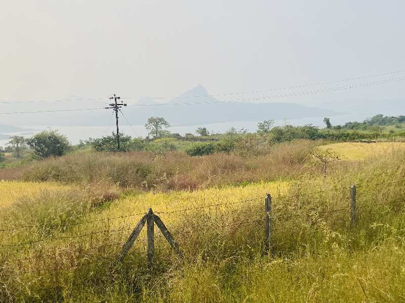 20 Guntha lake view open plot for sale at Pavana dam near Lonavala - Khandala twin hill station