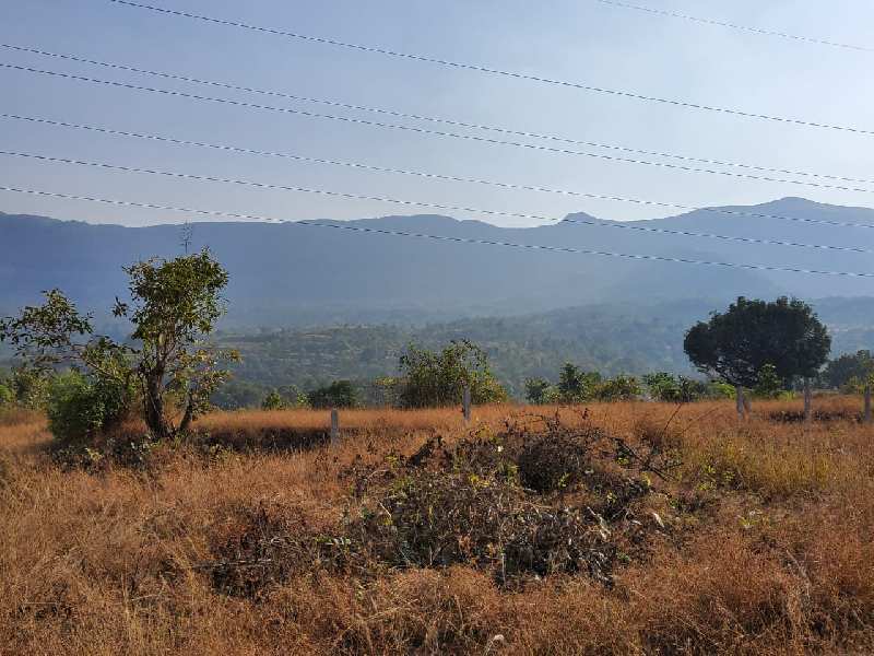 Pavana dam view main road touch clear title plot for sale at Pavana dam