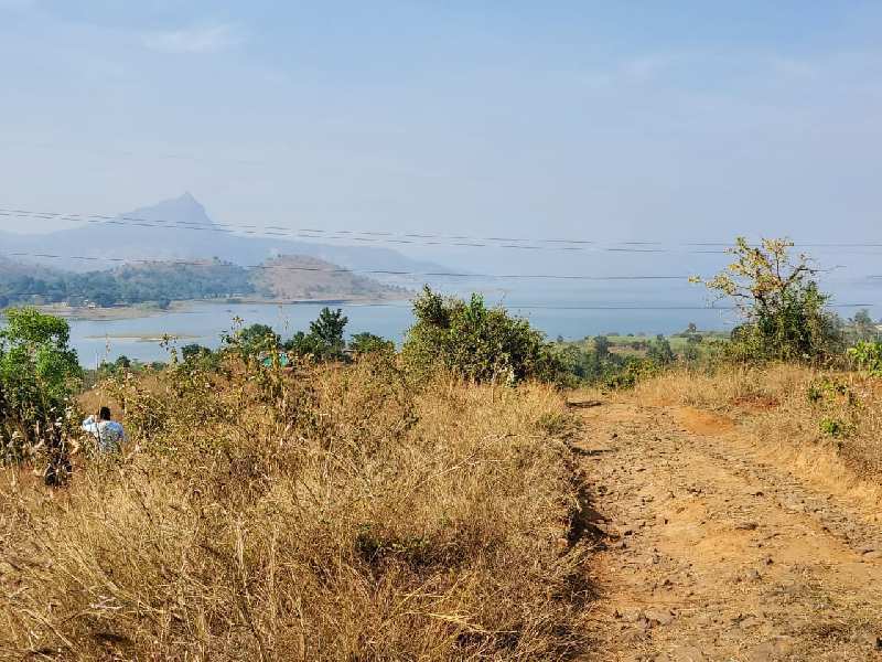 Pavana dam view main Road touch clear title plot open plot for sale at pavana dam near Lonavala - Khandala twin hill station