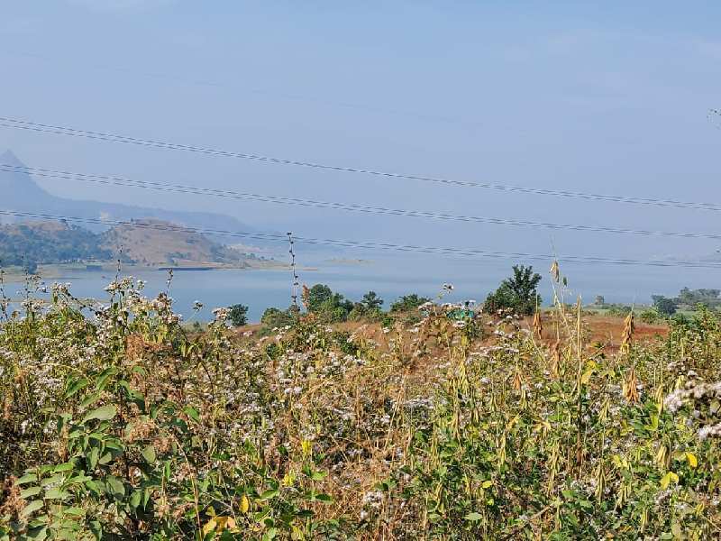 Pavana dam view main Road touch clear title plot open plot for sale at pavana dam near Lonavala - Khandala twin hill station