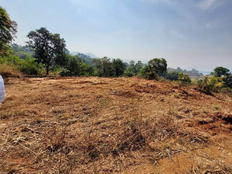 Clear title pavana dam view open plot for sale at pavana dam near Lonavala - Khandala twin hill station