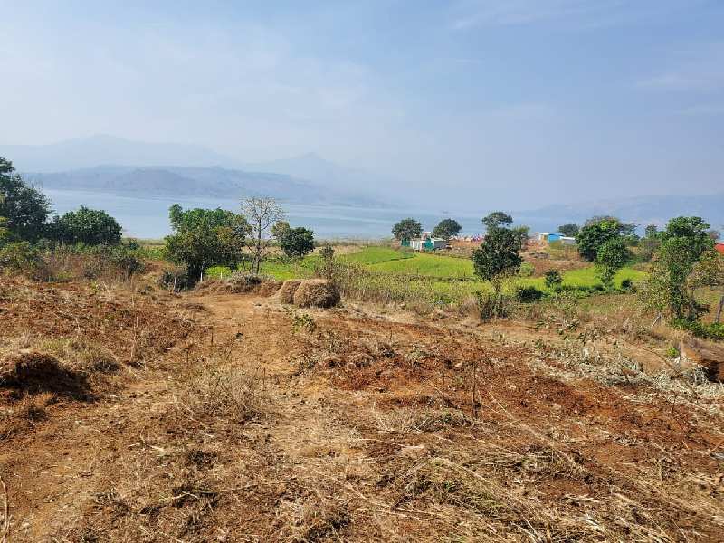 Clear title pavana dam view open plot for sale at pavana dam near Lonavala - Khandala twin hill station