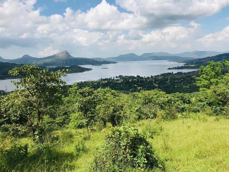 cleae n clean title lake view open plot for sale at near pavana dam,Lonavala hill station,