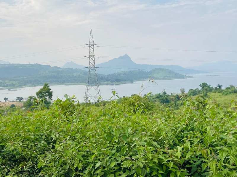 Pavana dam view small parcel of land for sale @pavana dam near Lonavala-khandala twin hill station.