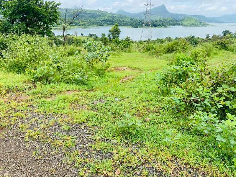 Pavana dam view small parcel of land for sale @pavana dam near Lonavala-khandala twin hill station.