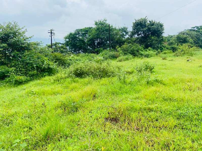 main road touch well stone fenced pavana lake view open plot for sale @Pavana dam
