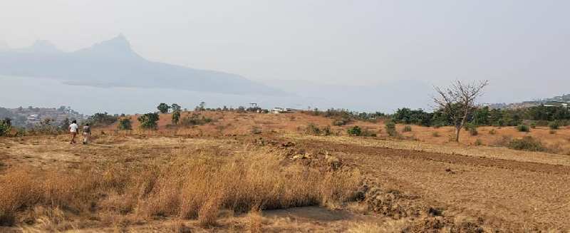 pavana dam view big plot area for sale near Amanzi resort @proper pavana dam area near Lonavala hill station.