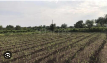 Property for sale in Ajmer Road, Jaipur