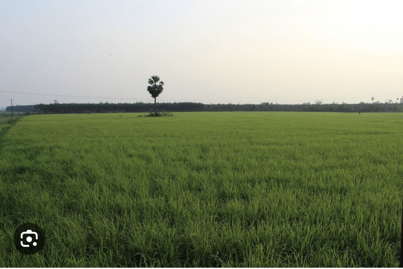 Agriculture land at good location