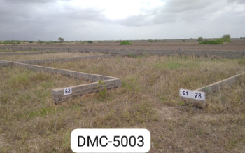 1800 Sq.ft. Residential Plot for Sale in Dholera, Ahmedabad