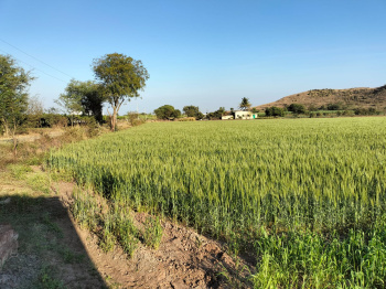 Property for sale in Niphad, Nashik