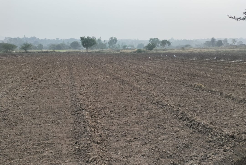 2 Acre Agricultural/Farm Land for Sale in Gangapur, Nashik