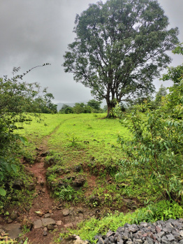 2 Acre Agricultural/Farm Land for Sale in Trimbakeshwar, Nashik (5 Acre)