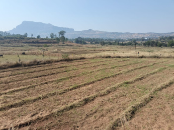 22 Guntha Agricultural/Farm Land for Sale in Trimbakeshwar, Nashik