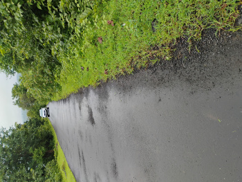 Agricultural/Farm Land for Sale in Trimbakeshwar, Nashik (4 Acre)