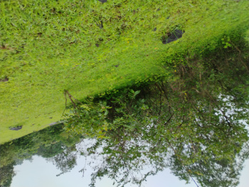 Property for sale in Trimbakeshwar, Nashik