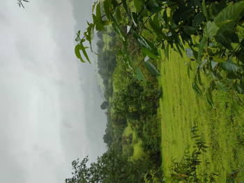 Property for sale in Trimbakeshwar, Nashik