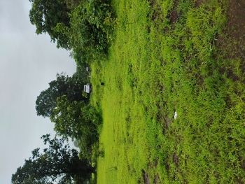 Property for sale in Trimbakeshwar, Nashik