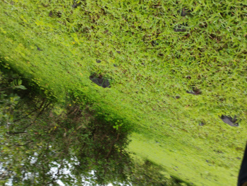 Property for sale in Trimbakeshwar, Nashik