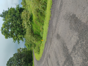 Property for sale in Trimbakeshwar, Nashik