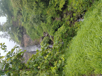 Property for sale in Trimbakeshwar, Nashik