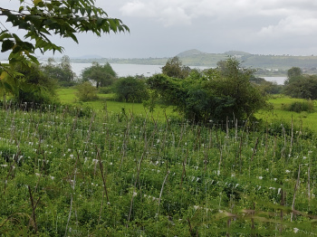 Property for sale in Ghoti Budruk, Nashik