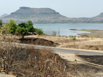 Agricultural/Farm Land for Sale in Igatpuri, Nashik (60 Guntha)