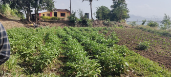 Property for sale in Ghoti Budruk, Nashik
