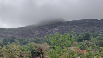 Agricultural/Farm Land for Sale in Igatpuri, Nashik (24.50 Guntha)