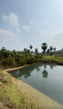 Pollachi Meenakshipuram farm land 10.80 acre for sale