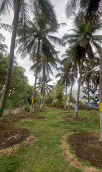 Pollachi Anamalai 3.10 Acre Coconut Farm land for Sale