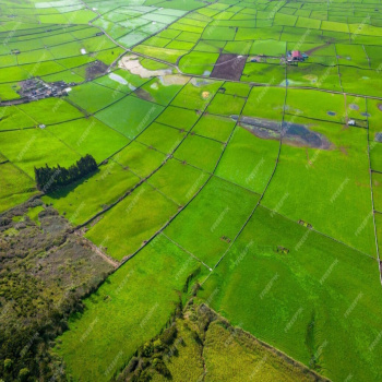10 Acer agriculture Land in pandhana village mp