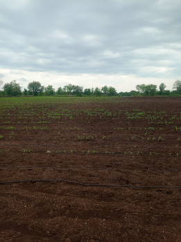 Property for sale in Yawal, Jalgaon