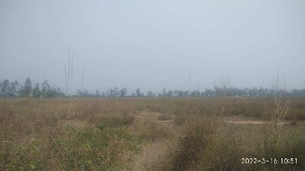 70 Bigha commercial industrial land sell in 11 mile near radhamahanpur, bankati Road,bardhaman.