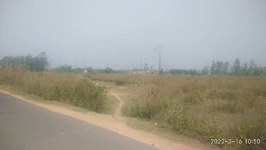 12 bigha inds. danga land sale in  near mankar station, aramgrah Ausgram-II, Bardhaman
