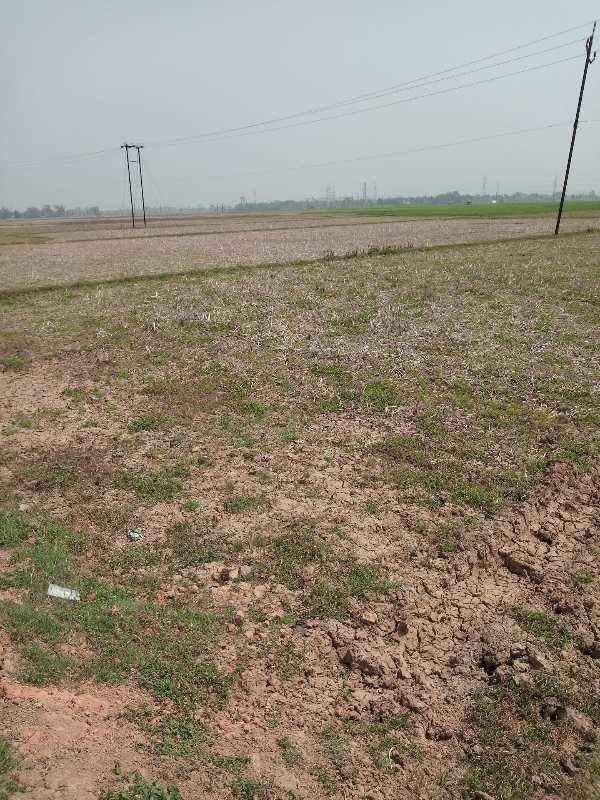 10 bigha agri. land sale in kurmun, bardhaman.