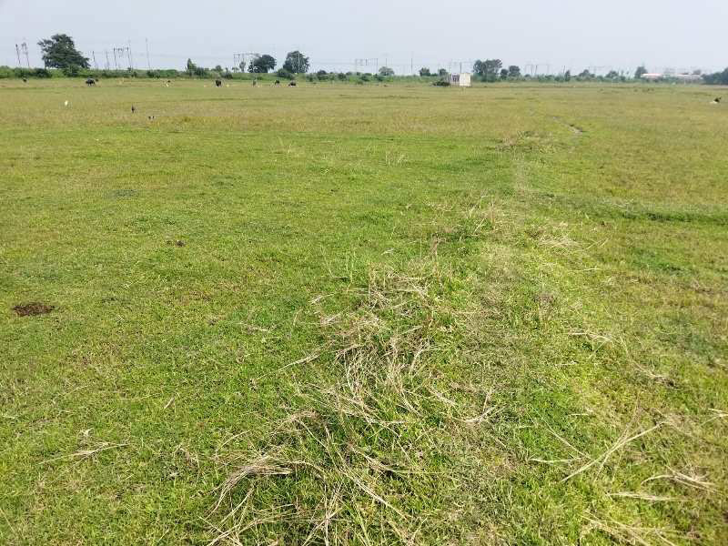 2 Katha plot land sell land in various plot in sarathpally near vasha para bardhaman