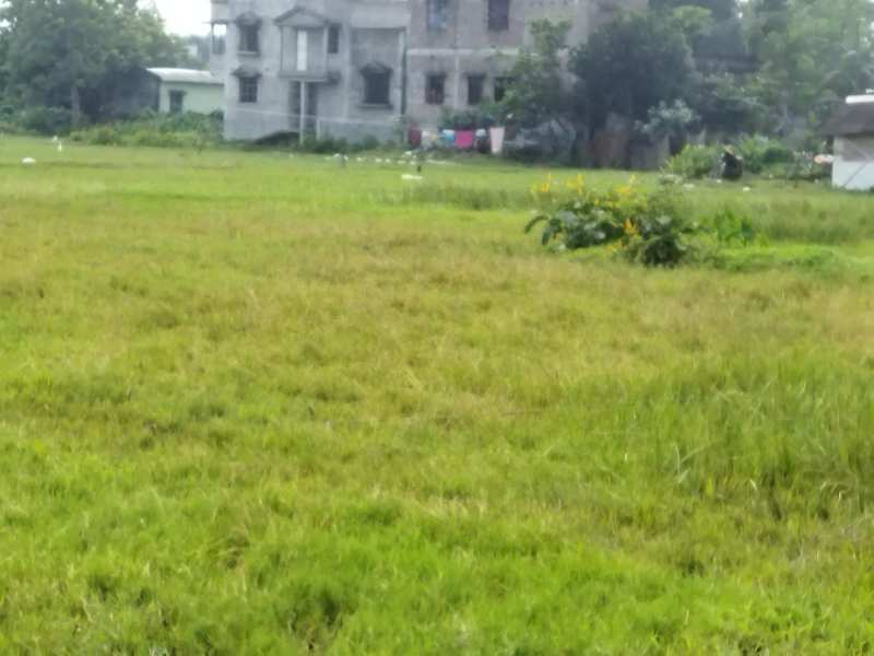 2 Katha plot land sell land in various plot in sarathpally near vasha para bardhaman