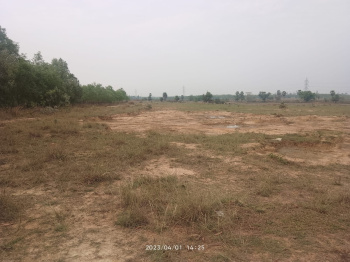 15 bigha agri. land sell in shabdanga, aushgram AUS-II, bardhaman.
