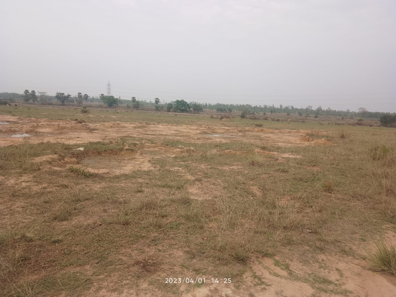 15 bigha agri. land sell in shabdanga, aushgram AUS-II, bardhaman.