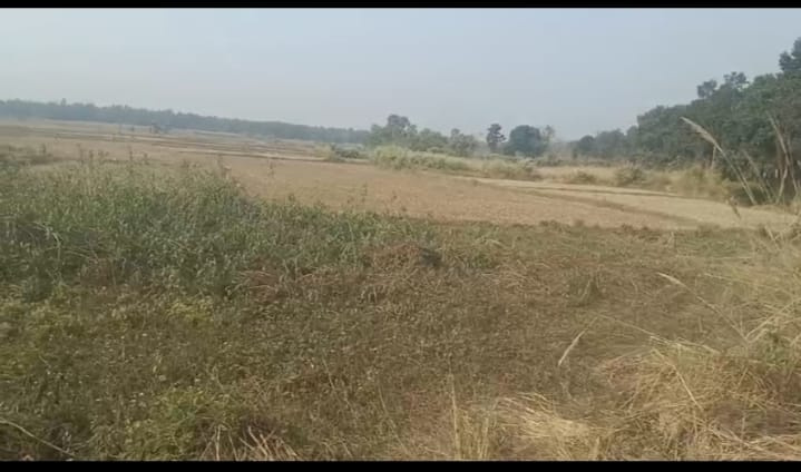 40 bigha Agri. land sell in aushgram, bardhaman.