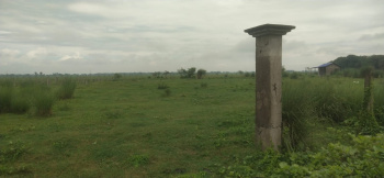 2.5 Bigha Agricultural land sell in Sapar ,Bardhaman