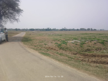 2.5 Bigha Agricultural land sell in Sapar ,Bardhaman