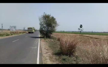 25 Bigha industrial land sell in Nbabdip road near palasi, bardhaman.