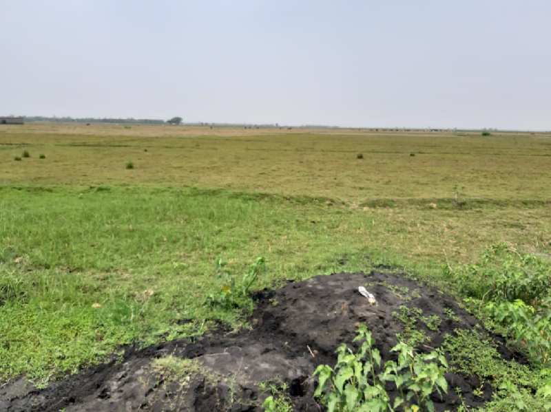 5 Bigha commercial land sell in NH2 near Galsi,bardhaman