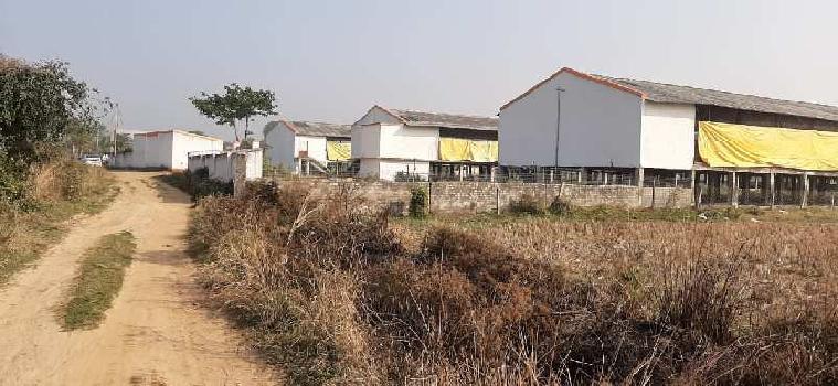 12 Bigha Agricultural land sell in Orgrm,Bardhaman