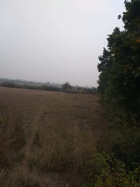 25 bigha Agri.(project) land sell in Deul , Bardhaman.