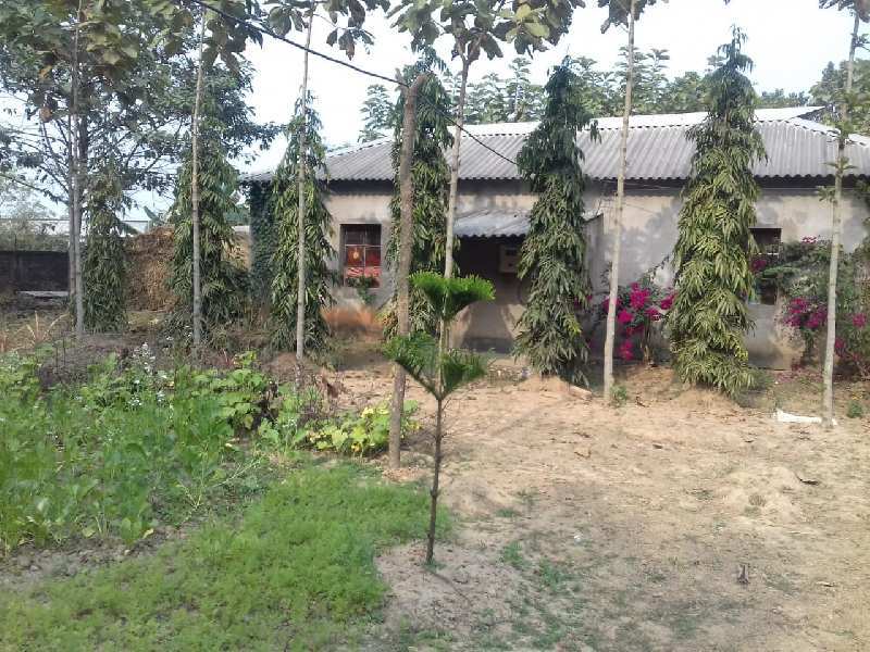 25 Bigha ready resort Agriculture land sell in aushgram-II bardhaman.