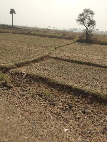 20 bigha agri. land sell in kurmun near palasi bus stand Bardhaman.