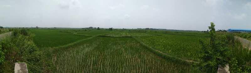 60 bigha agri. land sell in srichandanpur Ausgram,-II near NH2 to 15 km & NH34 to 5 km distend, Burdwan.